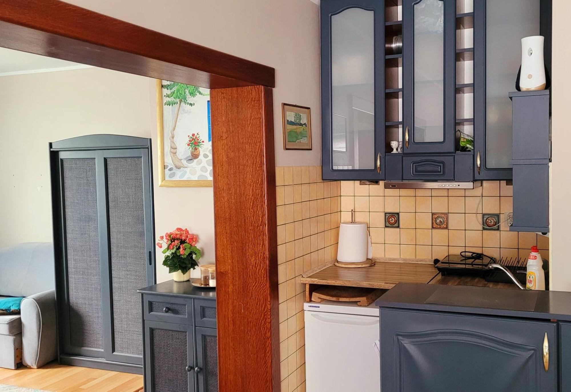 Apartament Brzoza Bydgoska المظهر الخارجي الصورة